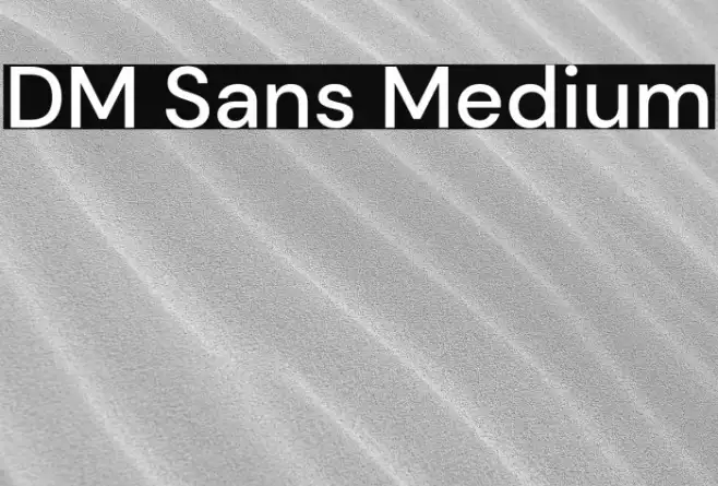 DM Sans Medium Example 2
