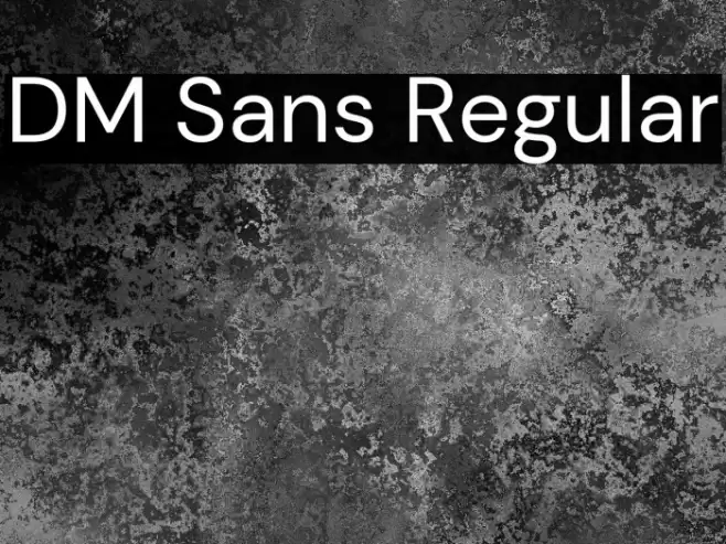 DM Sans Regular Font examples