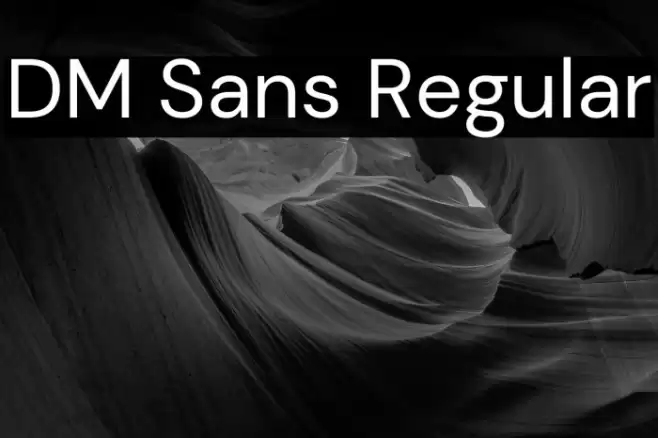 DM Sans Regular Font examples