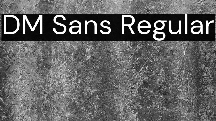 DM Sans Regular Font examples