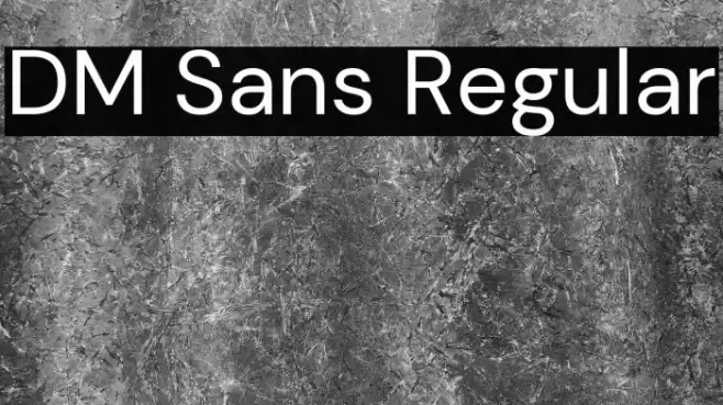 DM Sans Regular Font examples