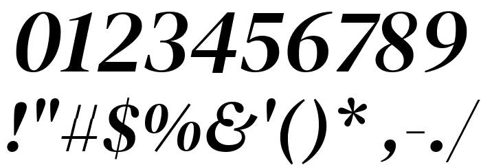 DM Serif Display Italic Font OTHER CHARS