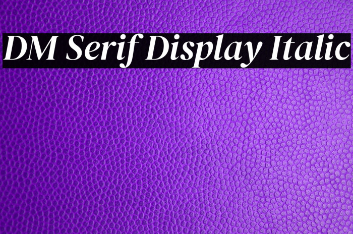 Download Dm Serif Display Italic Font Ffonts Net PSD Mockup Templates