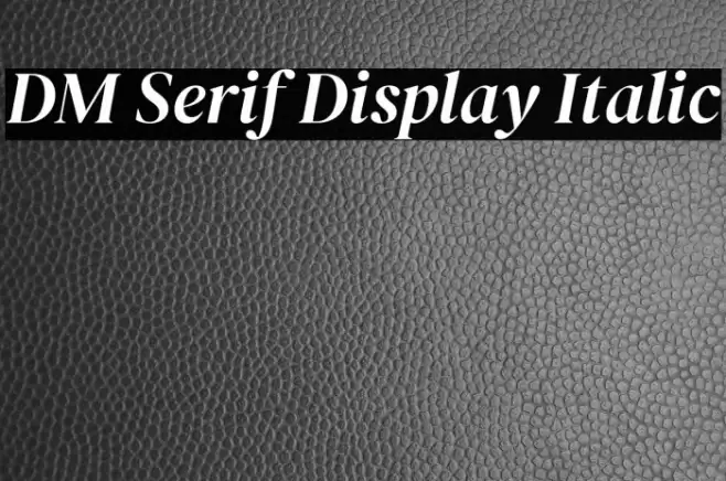 DM Serif Display Italic Font examples