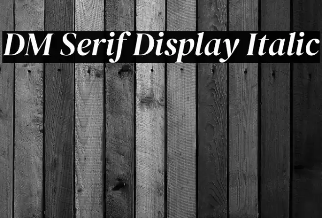 DM Serif Display Italic Font examples