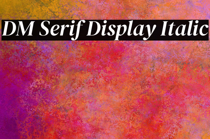 DM Serif Display Italic Font examples