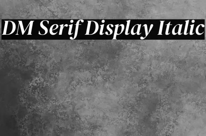DM Serif Display Italic Font examples