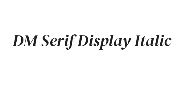DM Serif Display Italic Logo