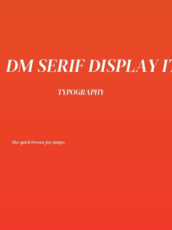 DM Serif Display Italic Poster