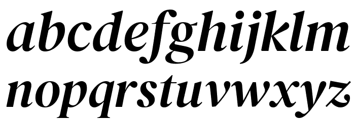 DM Serif Display Italic Font LOWERCASE