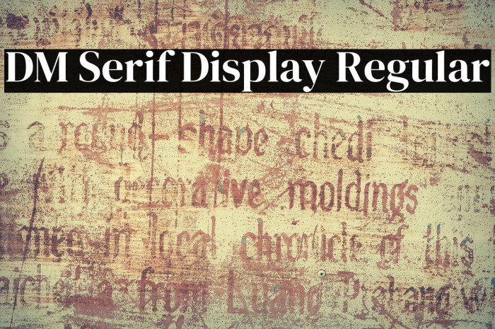 DM Serif Display Regular Font examples