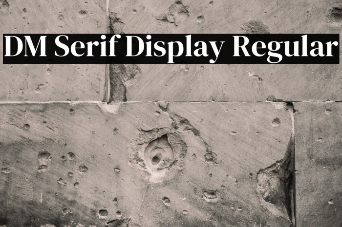 DM Serif Display Regular Font examples