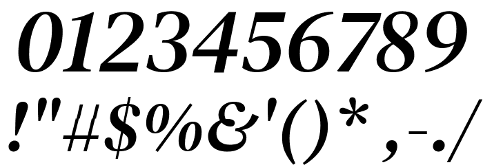 DM Serif Text Italic Font OTHER CHARS