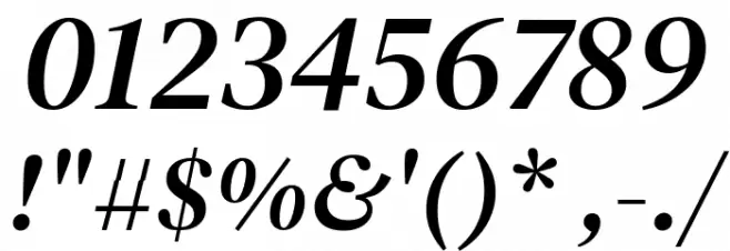 DM Serif Text Italic Font OTHER CHARS