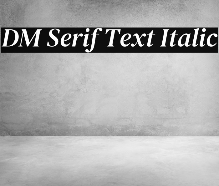 DM Serif Text Italic Font examples
