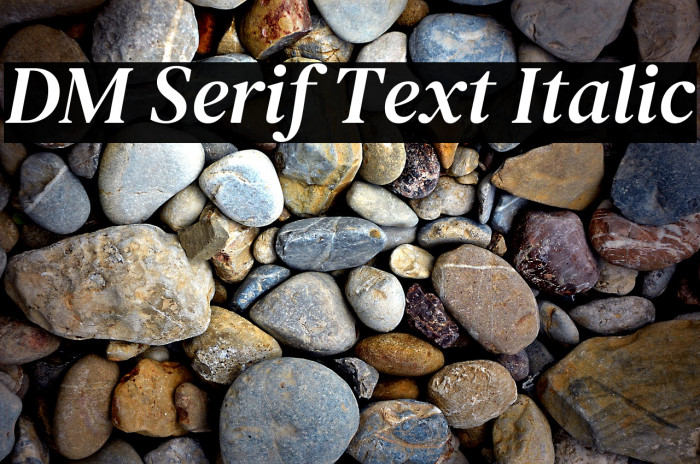 DM Serif Text Italic Font examples