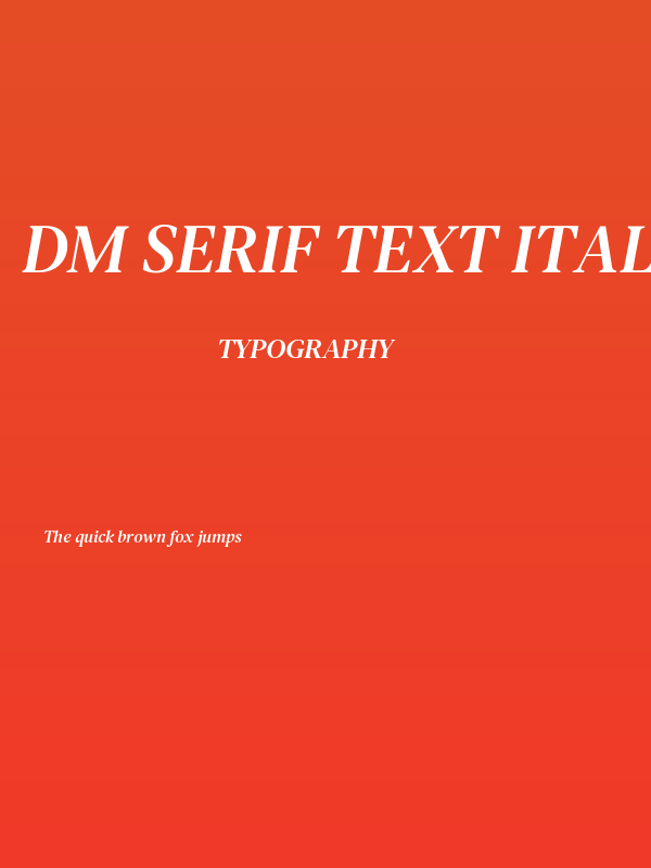 DM Serif Text Italic Poster