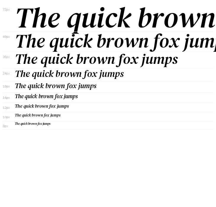 DM Serif Text Italic Waterfall