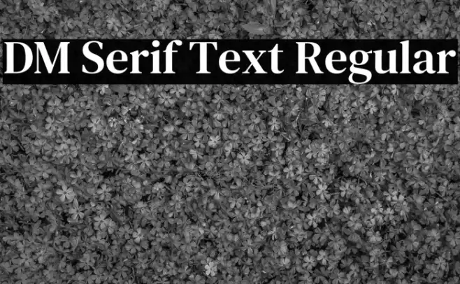 DM Serif Text Regular Example 1