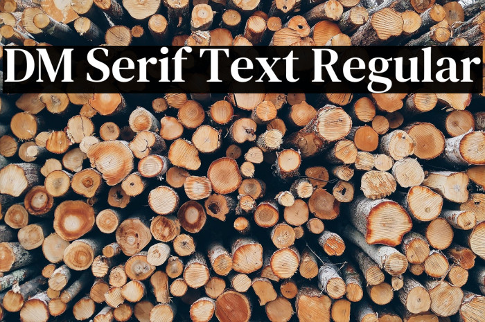 DM Serif Text Regular Font examples