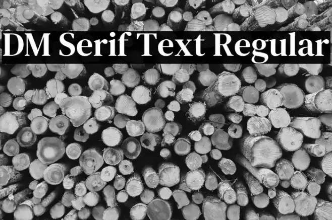 DM Serif Text Regular Example 2