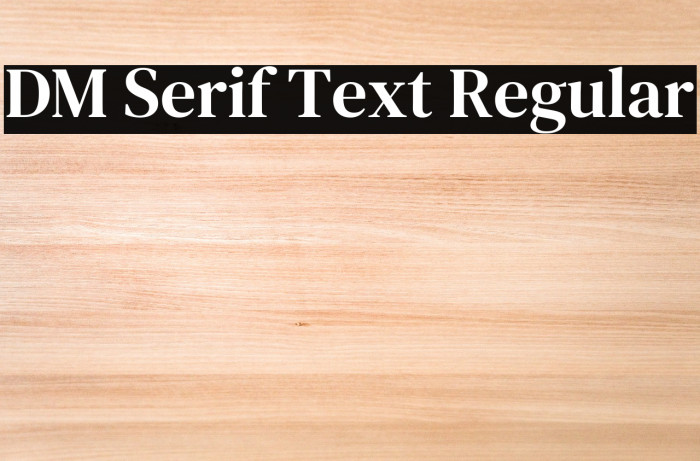 DM Serif Text Regular Font examples