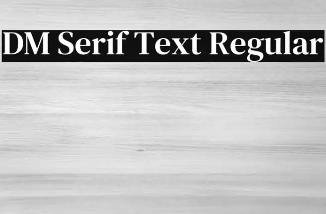 DM Serif Text Regular Example 3
