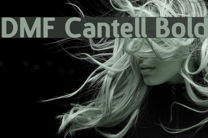 DMF Cantell Bold フォント examples