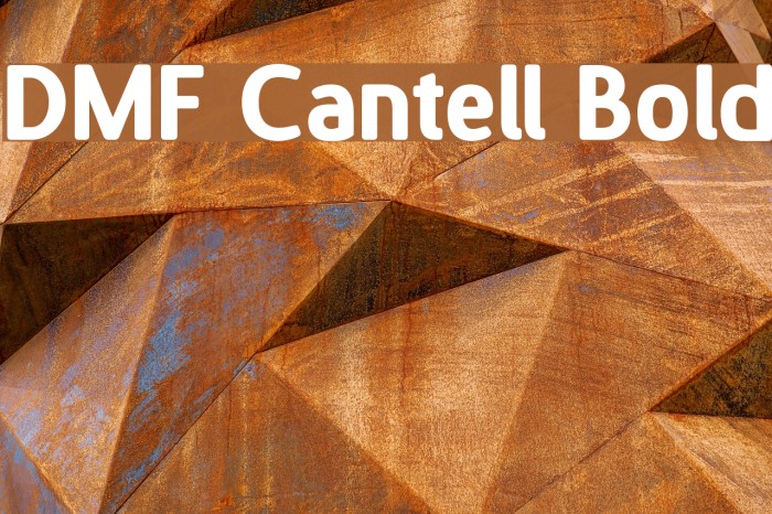 DMF Cantell Bold フォント examples