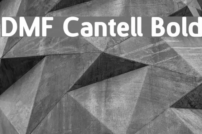 DMF Cantell Bold フォント examples