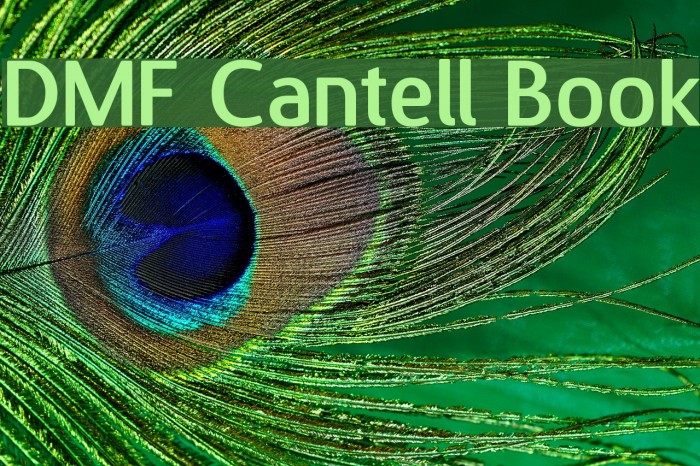 DMF Cantell Book Font examples