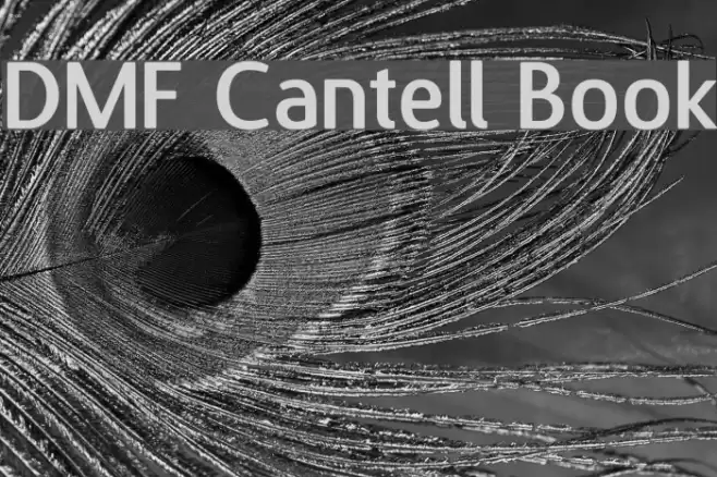 DMF Cantell Book フォント examples