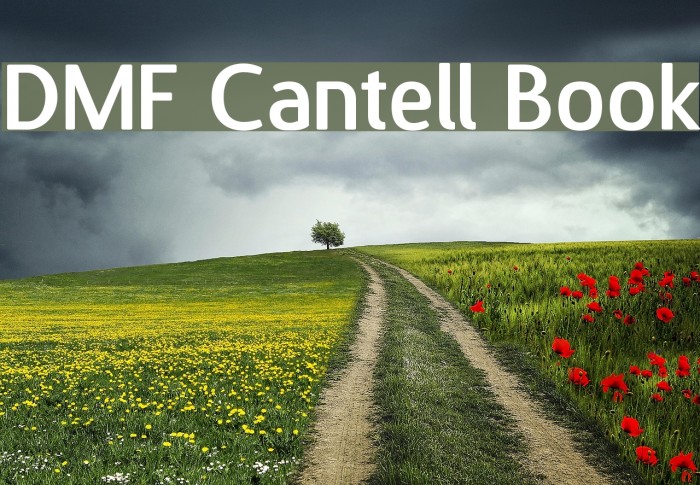 DMF Cantell Book Font examples