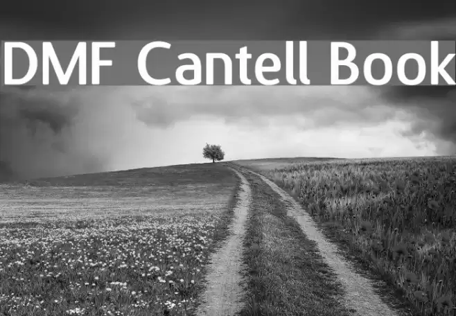 DMF Cantell Book フォント examples