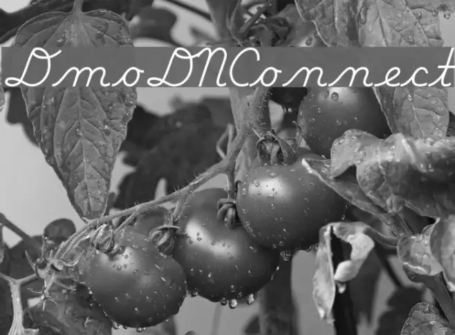 DmoDNConnect Example 2