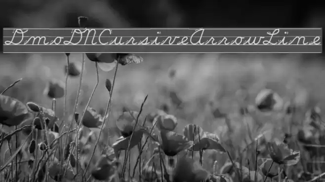 DmoDNCursiveArrowLine フォント examples