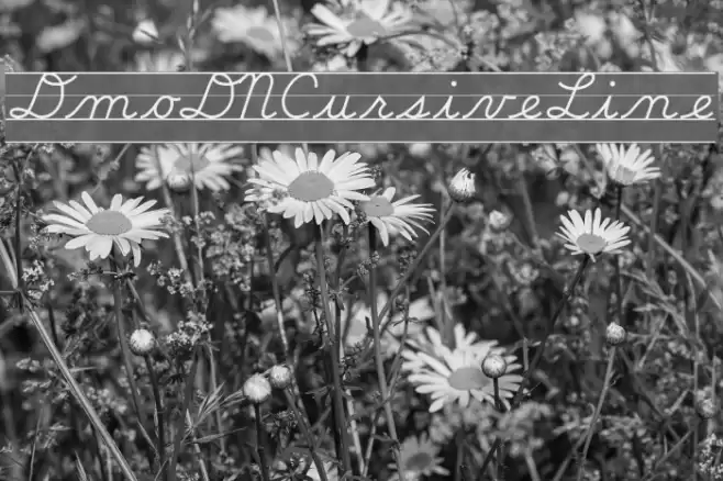 DmoDNCursiveLine Font examples