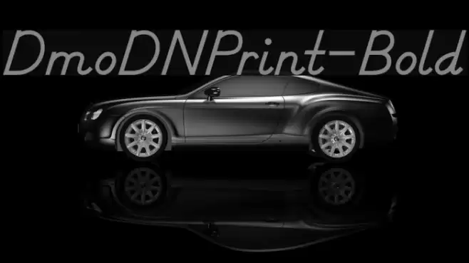 DmoDNPrint-Bold Font examples