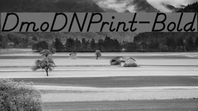 DmoDNPrint-Bold Font examples