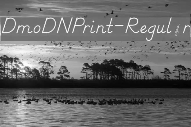 DmoDNPrint-Regular Example 1