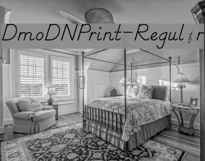 DmoDNPrint-Regular Example 3