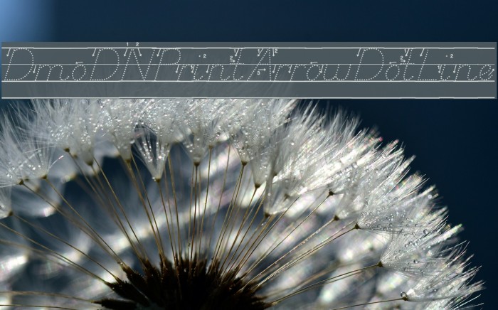 DmoDNPrintArrowDotLine Example 2