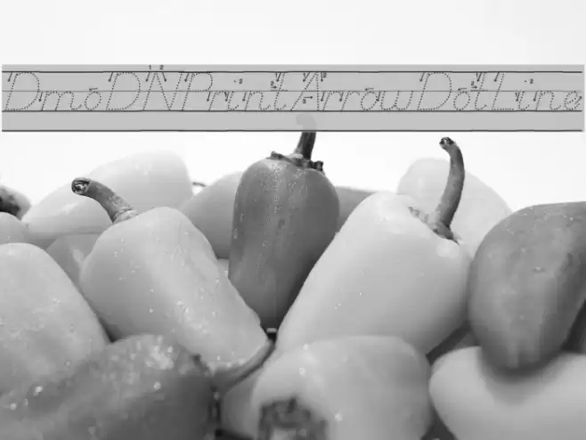 DmoDNPrintArrowDotLine Font examples