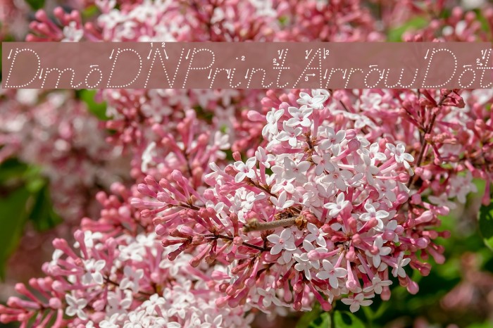 DmoDNPrintArrowDot Font examples