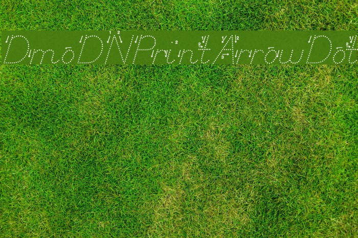 DmoDNPrintArrowDot Font examples