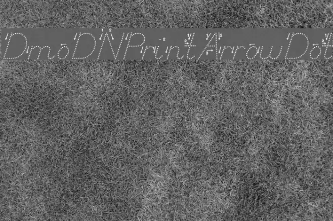 DmoDNPrintArrowDot Example 3