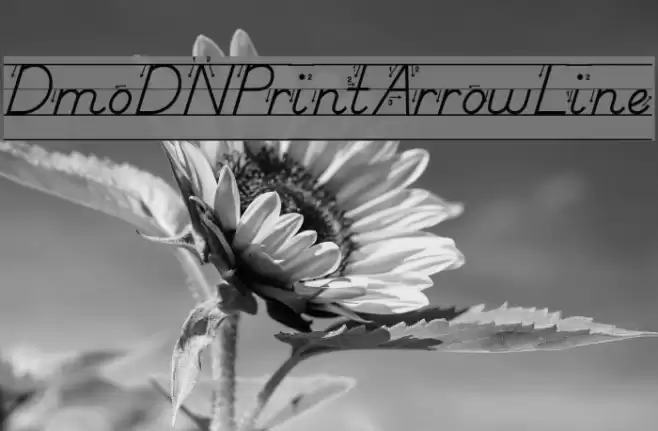 DmoDNPrintArrowLine Font examples