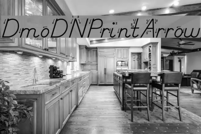 DmoDNPrintArrow Example 2