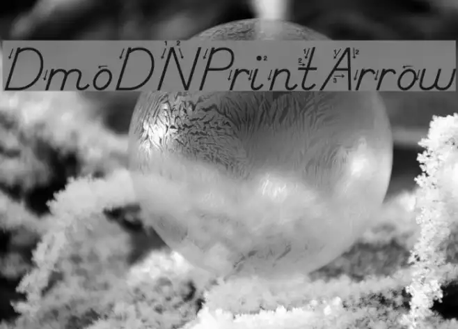 DmoDNPrintArrow Example 3