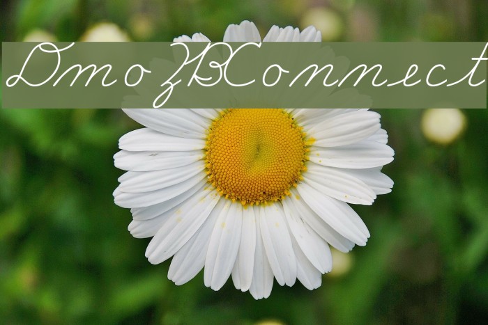 DmoZBConnect Font examples